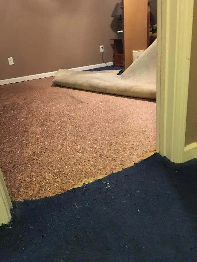 Carpet pad removal revealing water damage during Water Mitigation Services in Papillion