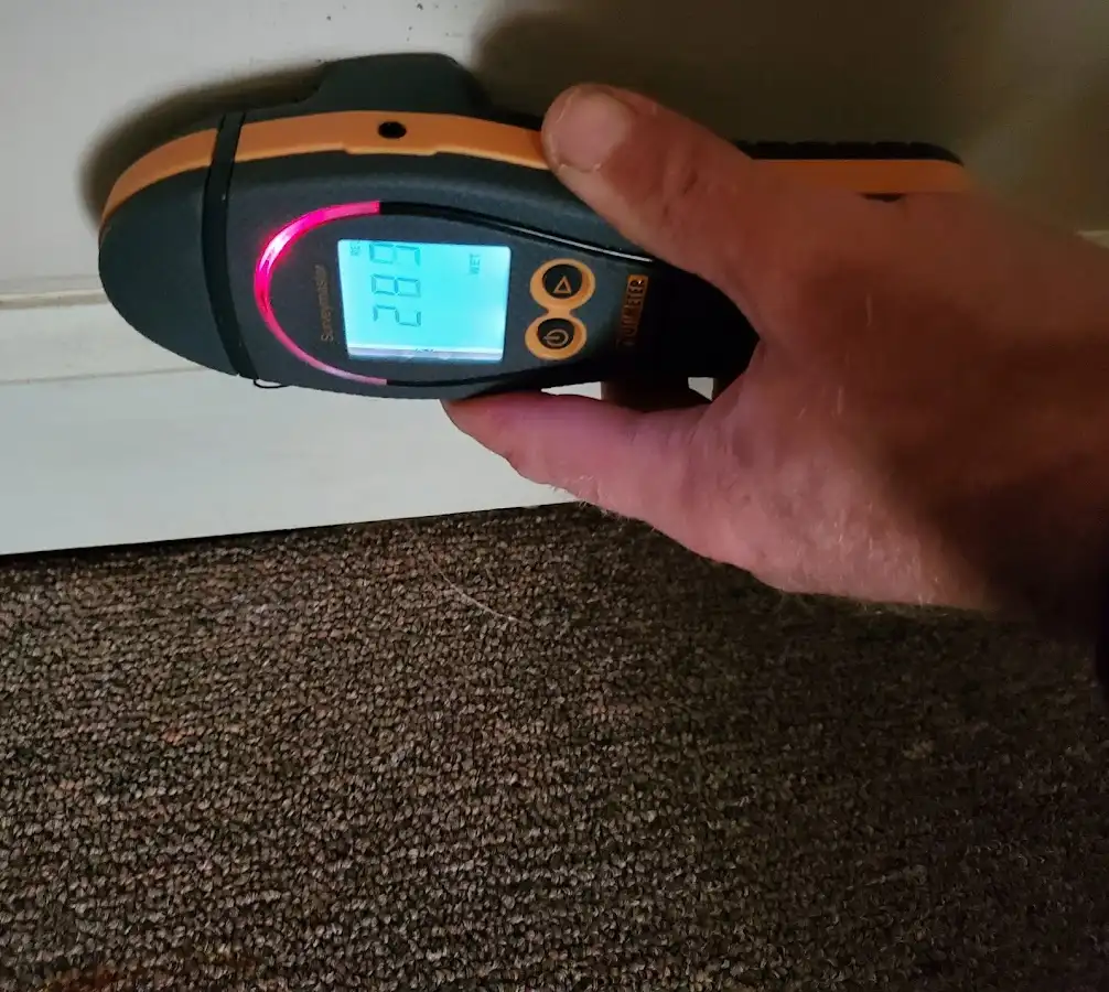 Moisture detection at baseboard during Sewage Cleanup & Sanitation in Papillion